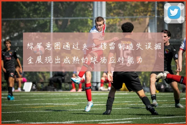 绿军意图通过夹击穆雷制造失误掘金展现出成熟的球场应对能力